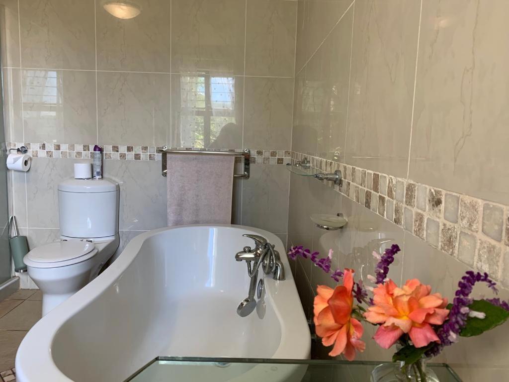 Mountain Rose Guesthouse Louis Trichardt Eksteriør billede